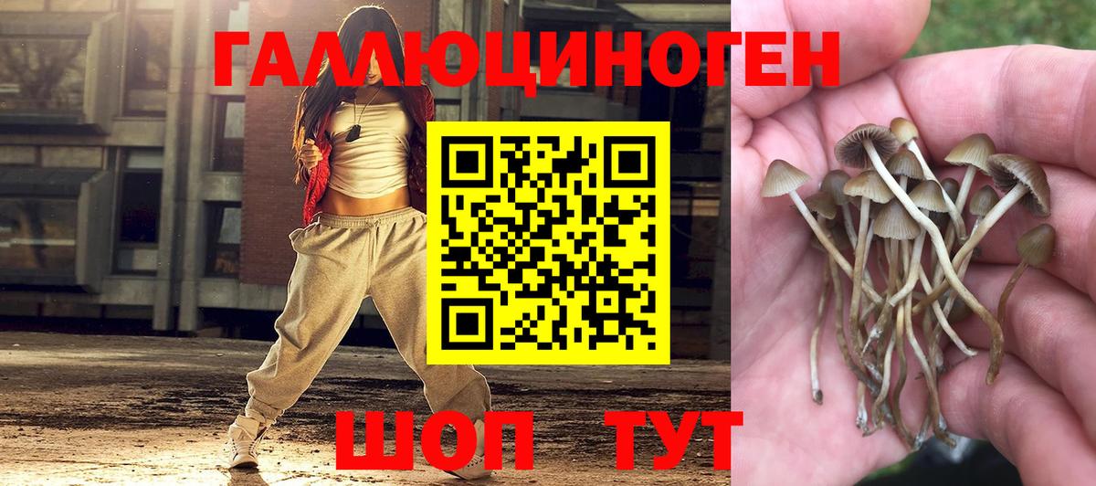 Галлюциногенные грибы Psilocybe  Вход с VPN  Сальск  Псилоцибиновые грибы ЛСД 